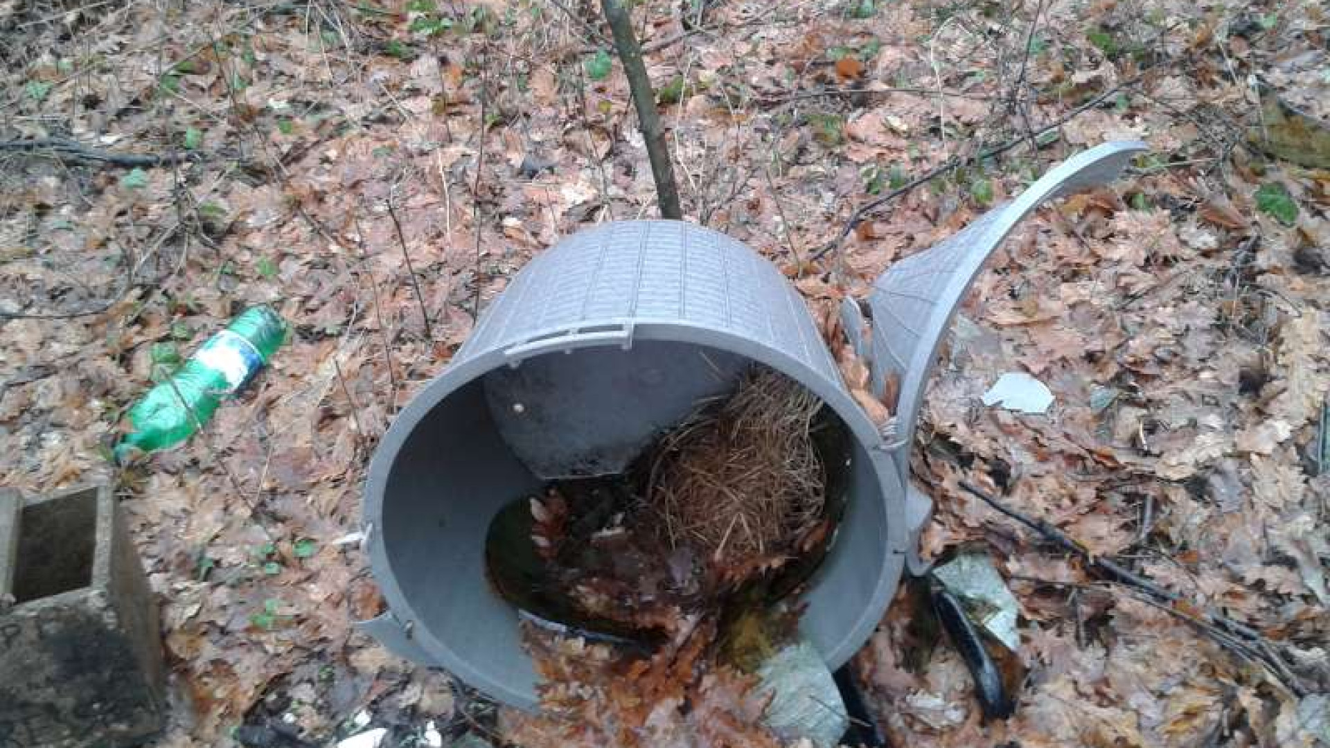 Il degrado arriva anche a Montechino: discarica abusiva nei boschi
