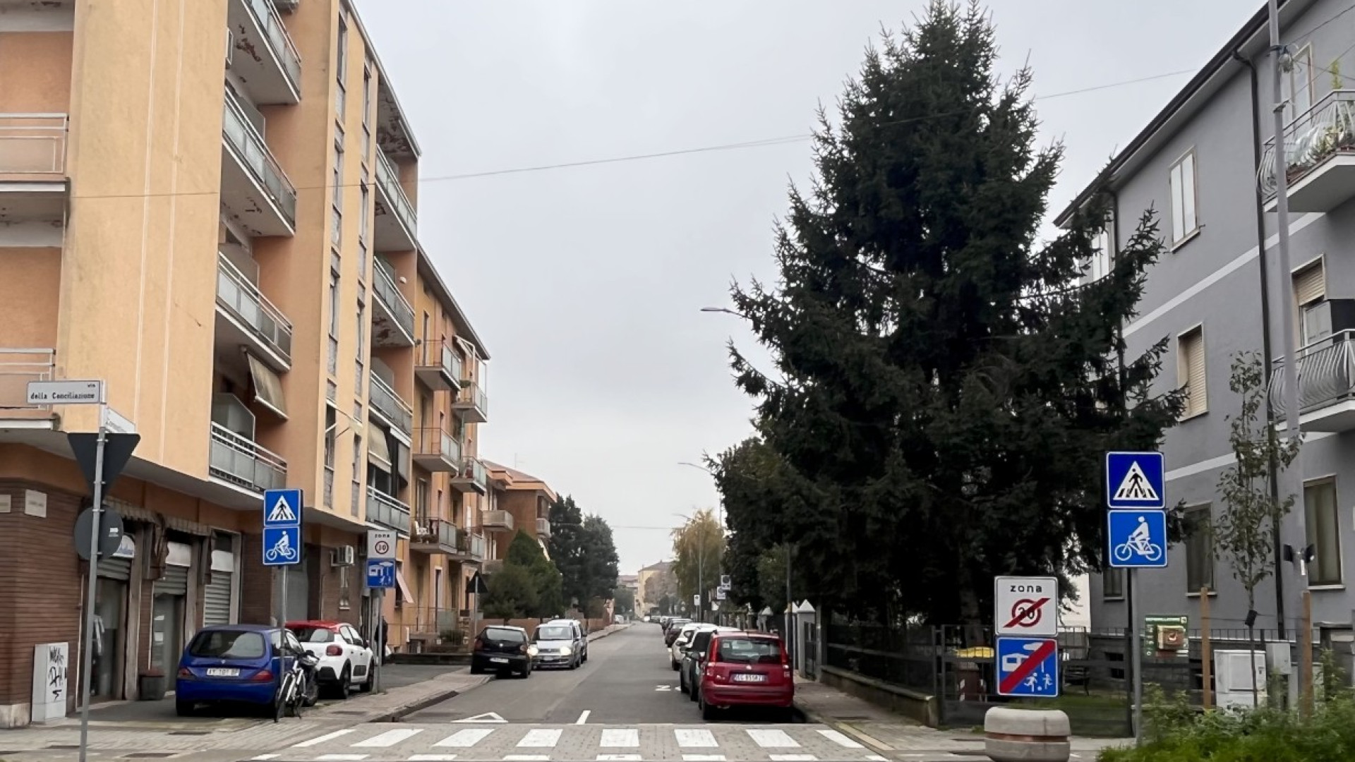 Viabilità e sicurezza in viale Dante, i residenti: "Problemi ancora sul tavolo, ascoltateci"