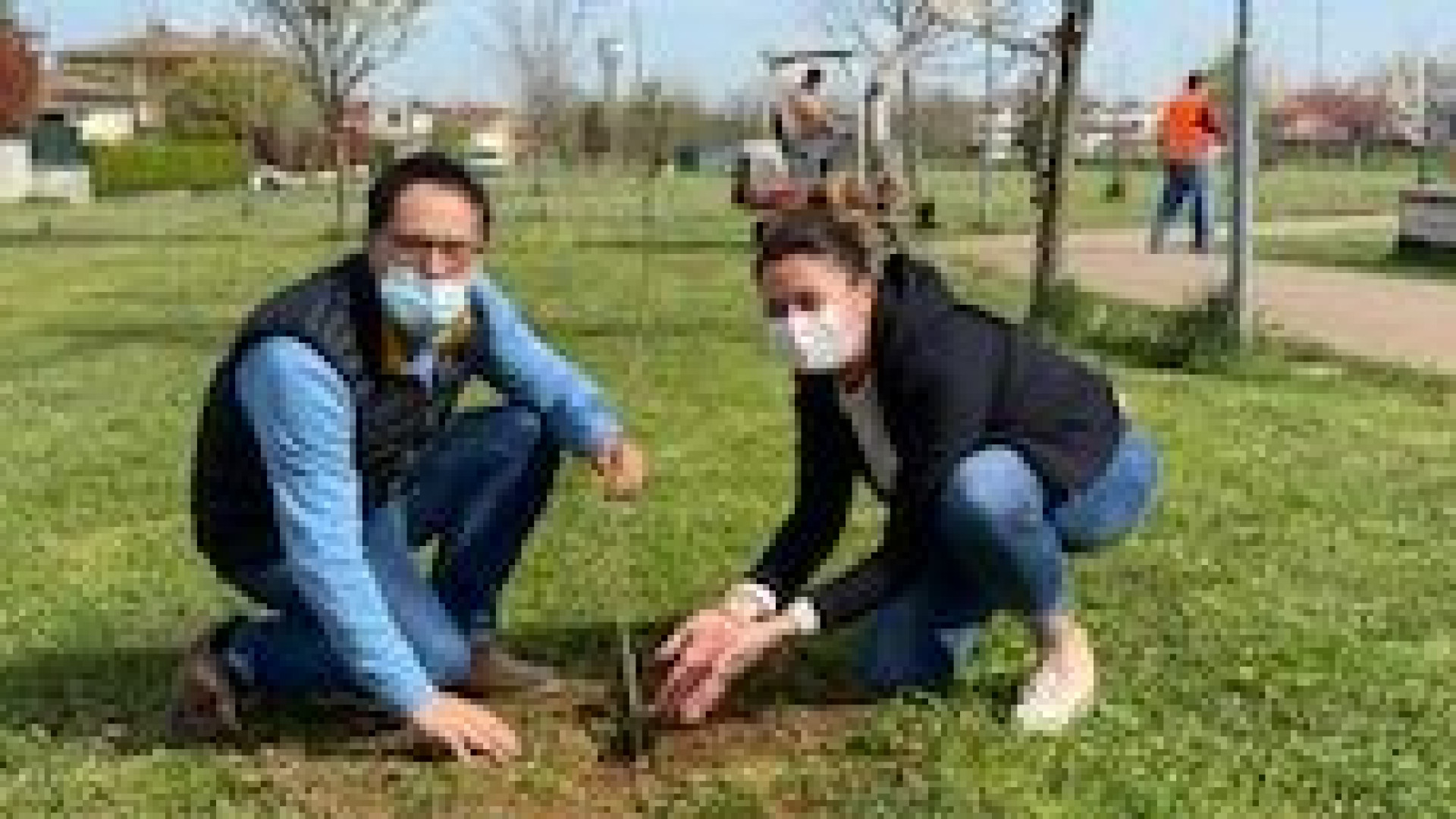 Anche Podenzano avrà il suo Bosco della memoria. Messe a dimora 60 piante