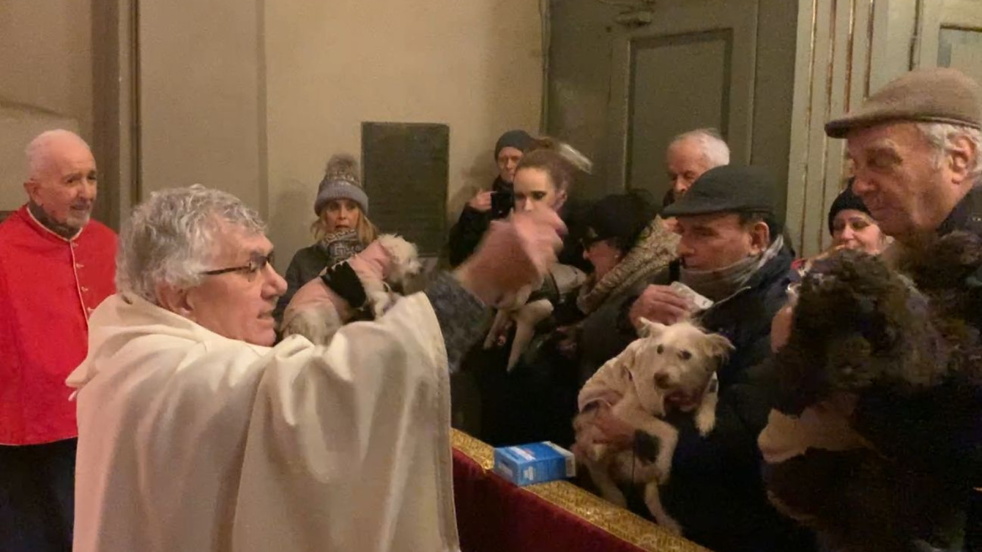 Oggi è sant'Antonio: tradizionale benedizione animali in San Dalmazio