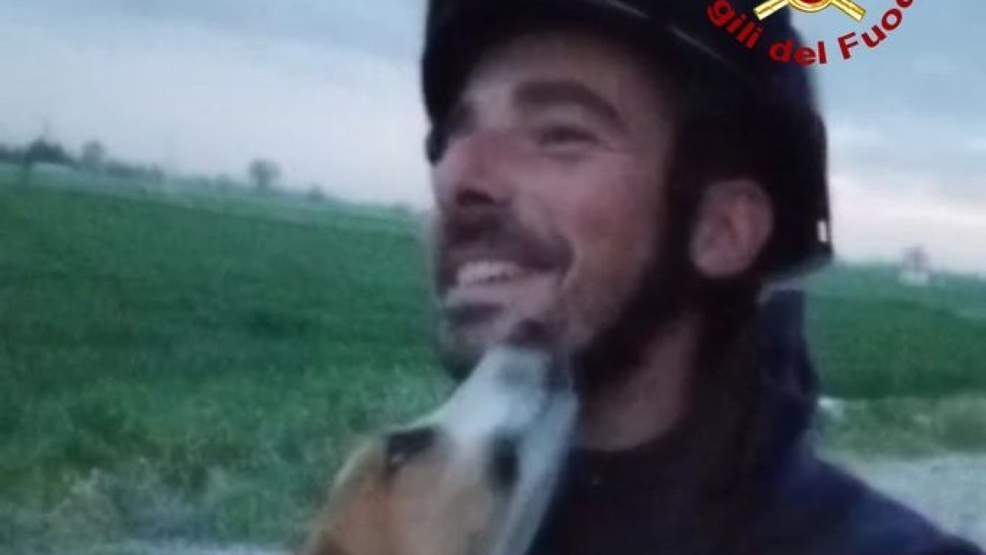 Centovera: incastrato in un tubo, cagnolino salvato dai vigili del fuoco