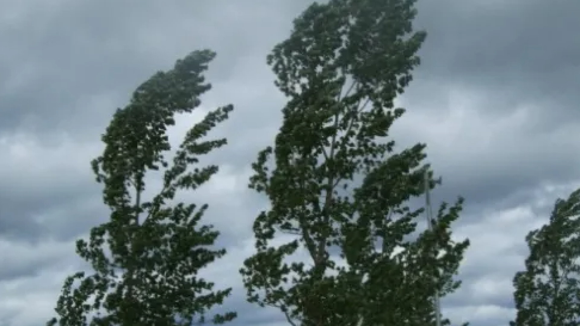Pioggia e vento sulla montagna piacentina, allerta gialla della Protezione civile