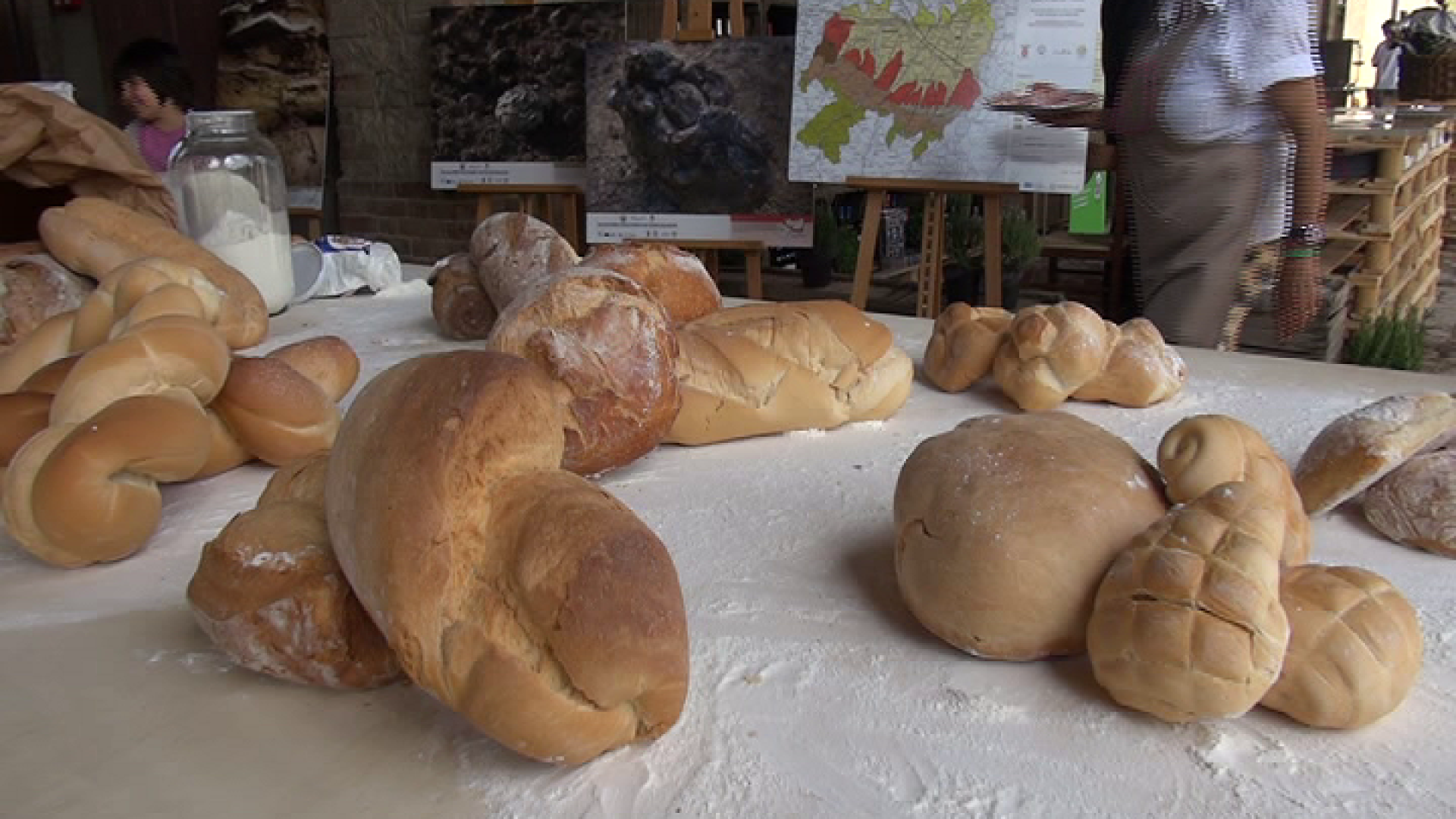 Pane, focacce e dolci protagonisti nel week-end: eventi in piazza e alla Faggiola