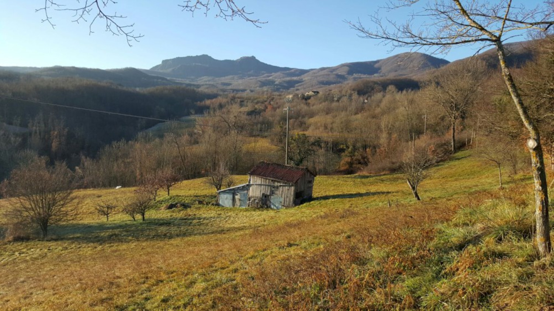 Pazzo clima, l'inverno sembra passato:il gelo è finito, torna il clima mite