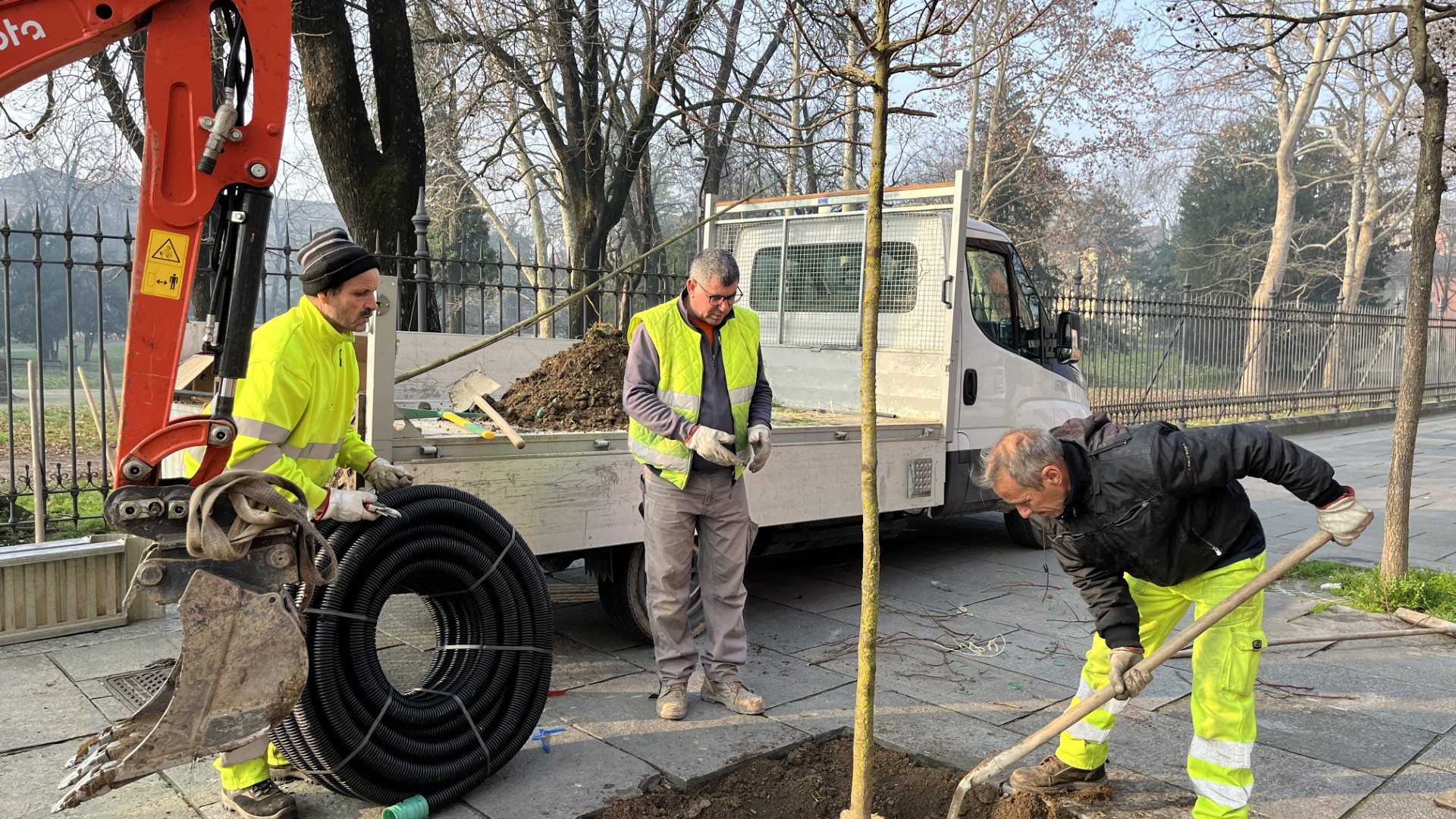 Cresce il patrimonio verde di Piacenza: mille nuovi alberi in programma entro il 2025