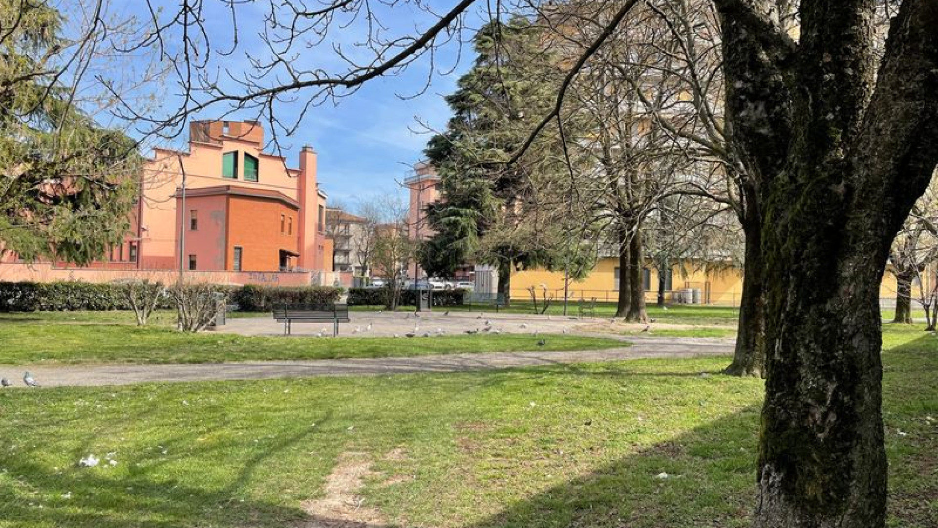 Degrado e siringhe in via Calciati, esposto dei residenti: "Zona invivibile"