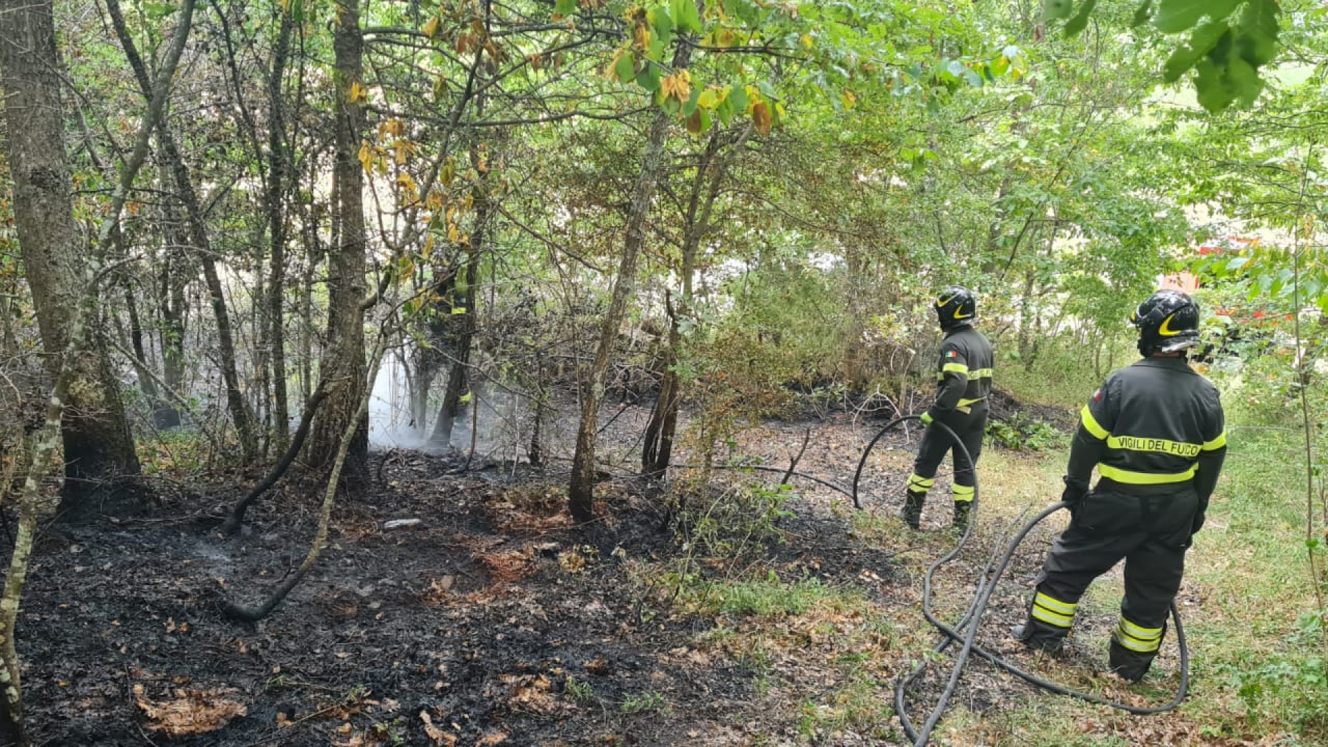 Incendio in un bosco a Groppallo, i cittadini lo soffocano ed evitano il peggio