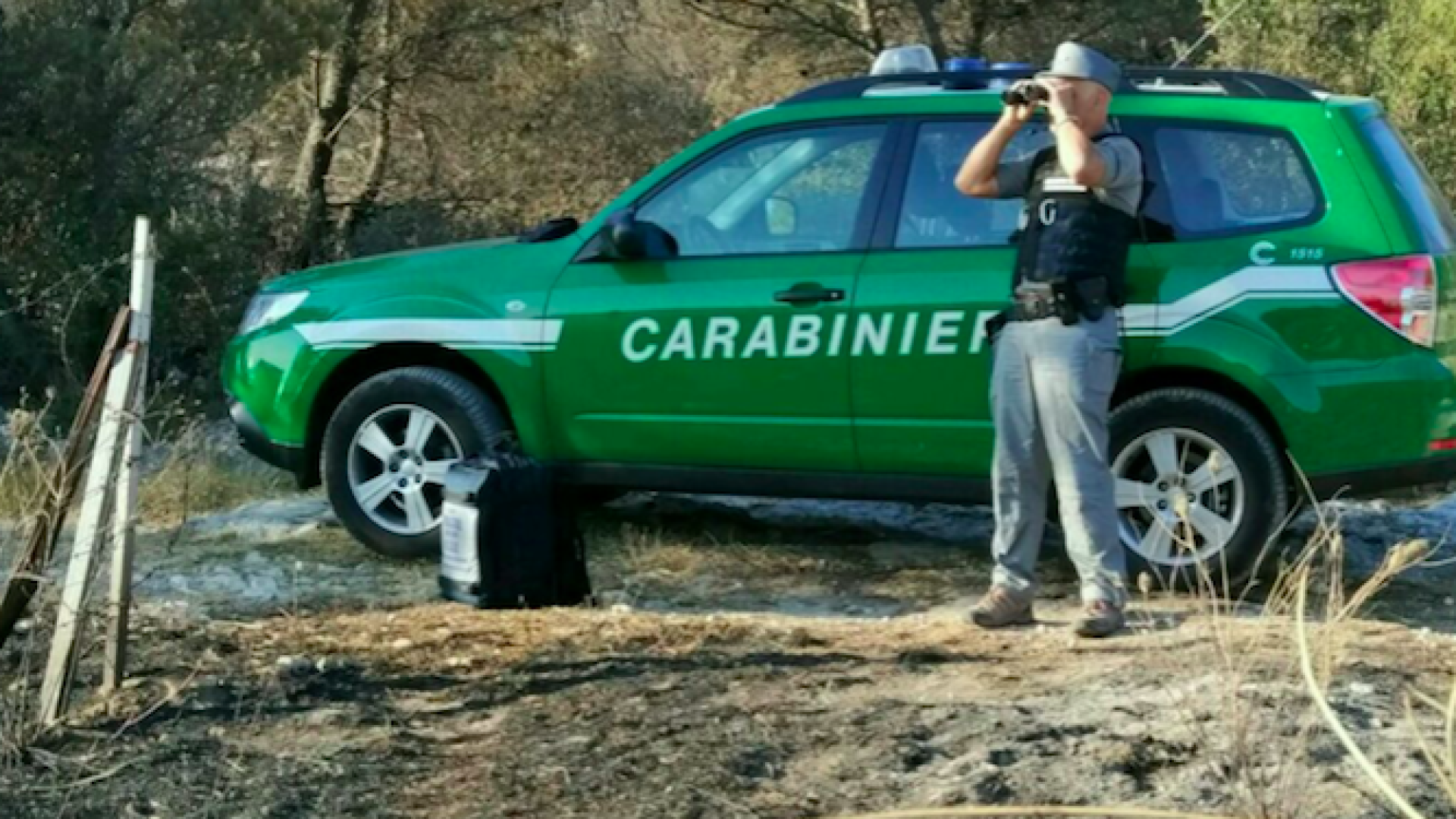 Incendi: 19 in pochi mesi, dal 14 luglio vietato fumare nei boschi