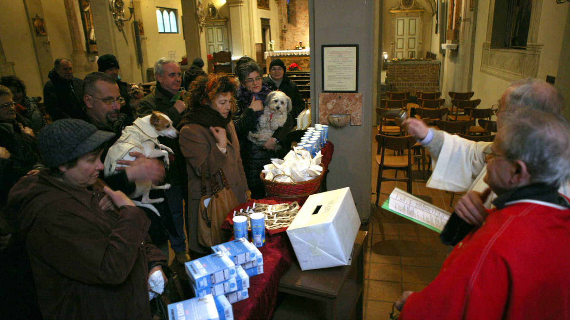 Sant'Antonio Abate, oggi benedizione degli animali nella chiesa di San Dalmazio