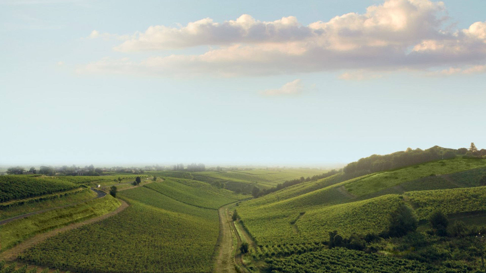 Consorzio Tutela Vini Doc Colli Piacentini a Vinitaly: "Diamo voce alle produzioni"