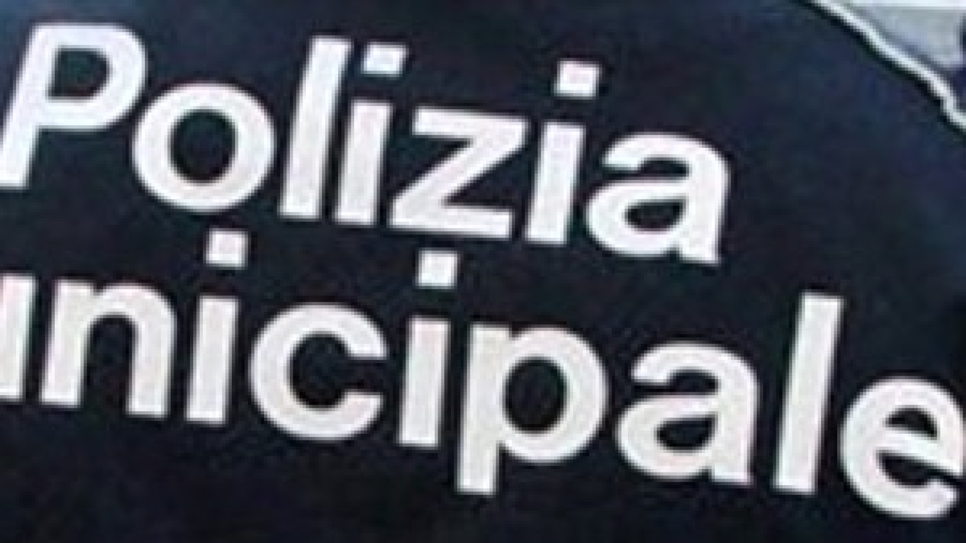 Venditori abusivi di fiori, stretta della Municipale: quattro sequestri