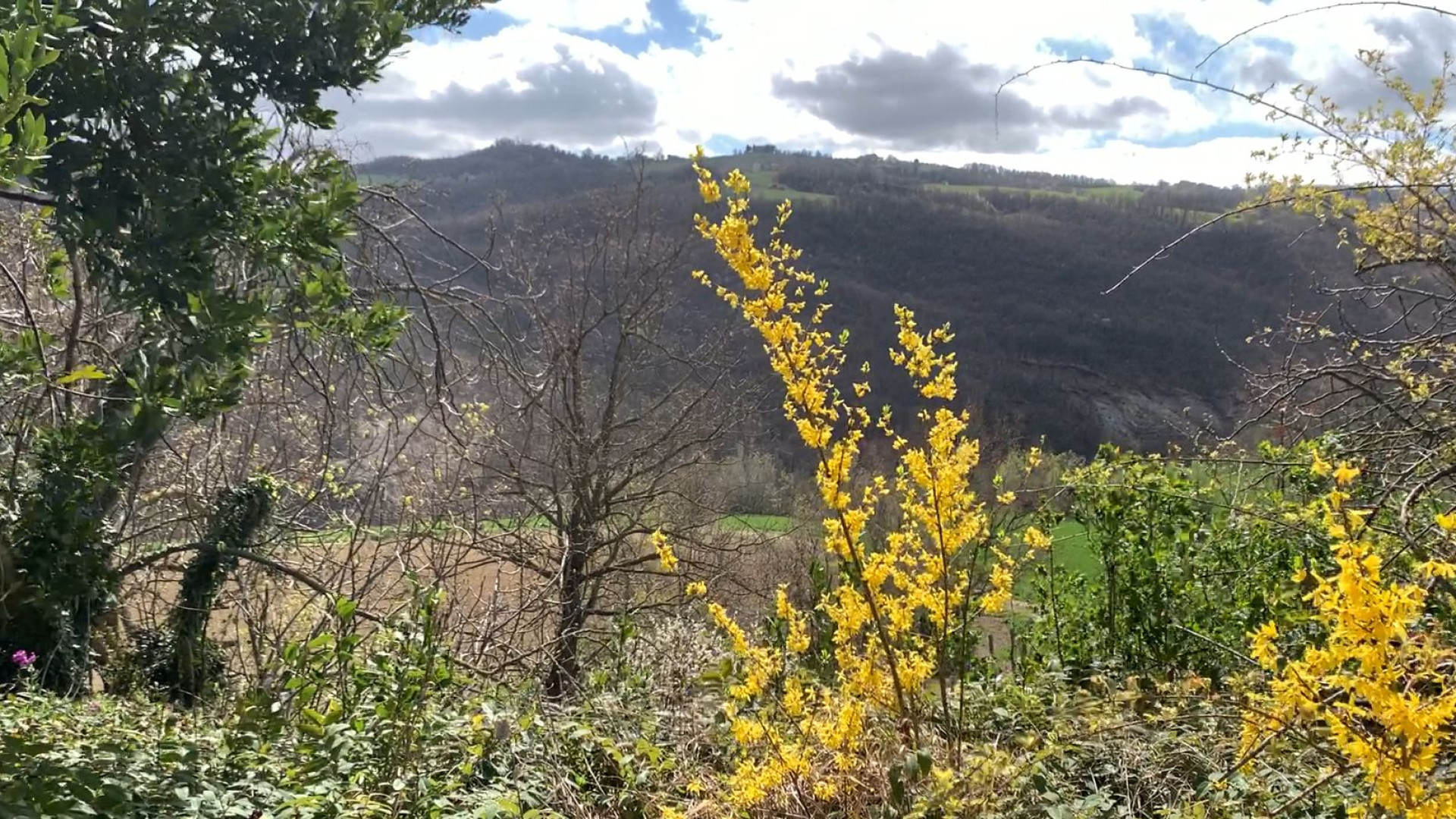 Allerta meteo di colore giallo per forte vento sulla collina piacentino-parmense