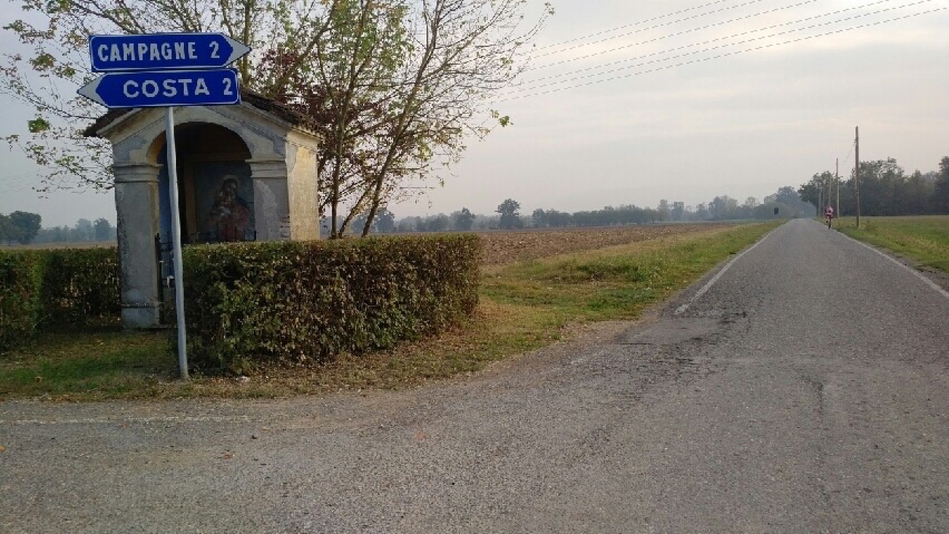 Va in shock anafilattico dopo la puntura di un'ape: salvato dal 118