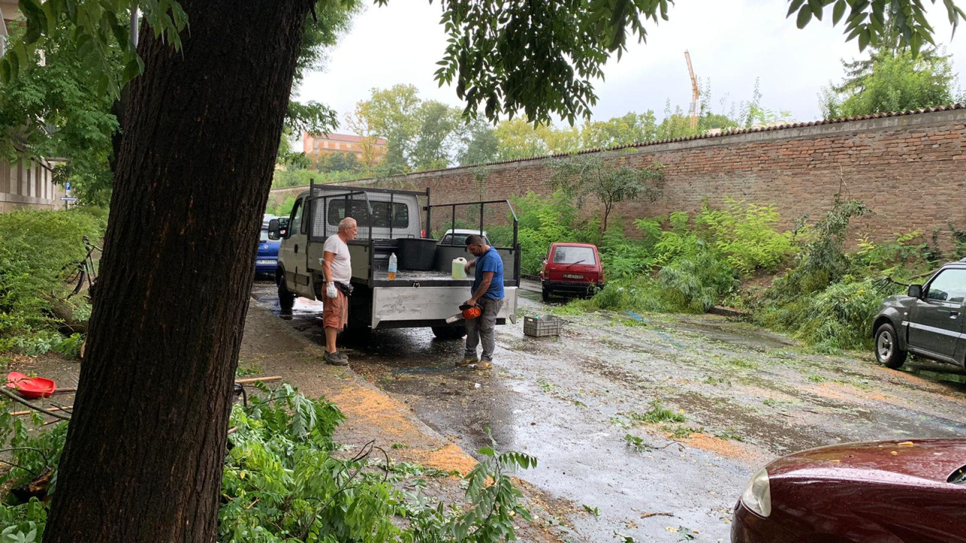 Temporale su Piacenza, crolla un ramo in via Sangallo. Strada liberata