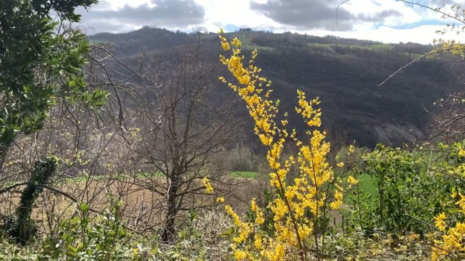 Forte vento sulle montagne piacentine: nuova allerta meteo in arrivo
