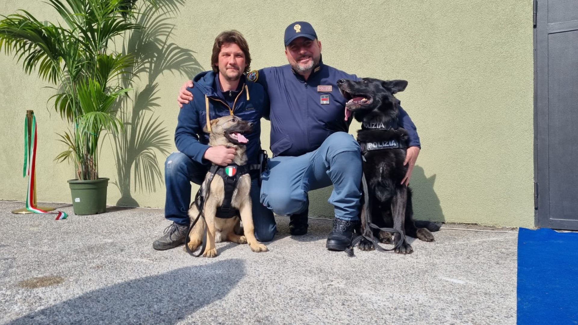 Platone, il pluripremiato cane poliziotto adottato da un vigile del fuoco piacentino