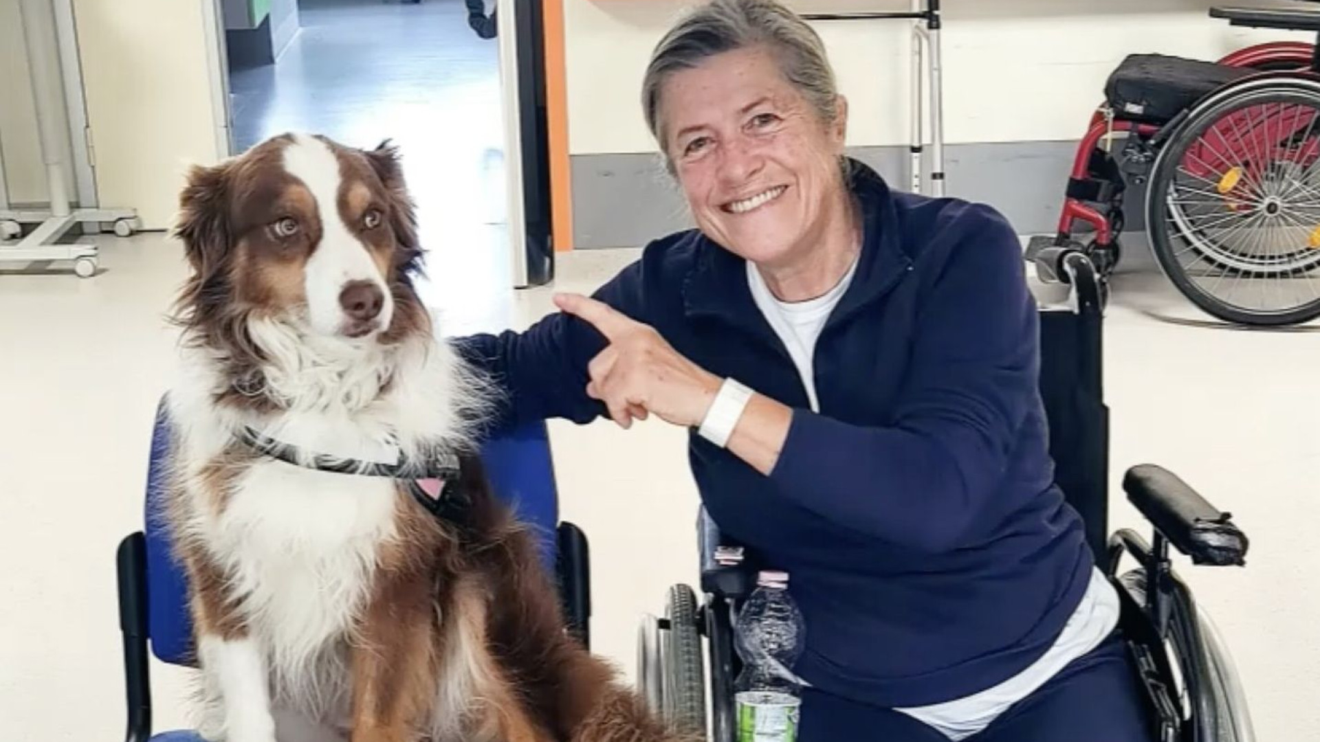 Cani e gatti in reparto. "Meno stress e dolore per i nostri pazienti"