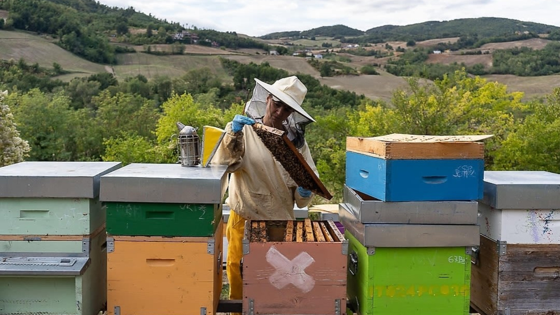 Il miele d'acacia più buono d'Italia? A Campremoldo. Concari vince il "Tre Gocce"