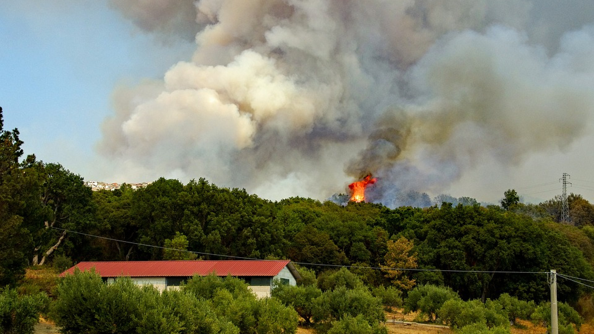 Incendi boschivi: proroga della fase di attenzione, le indicazioni su come evitarli