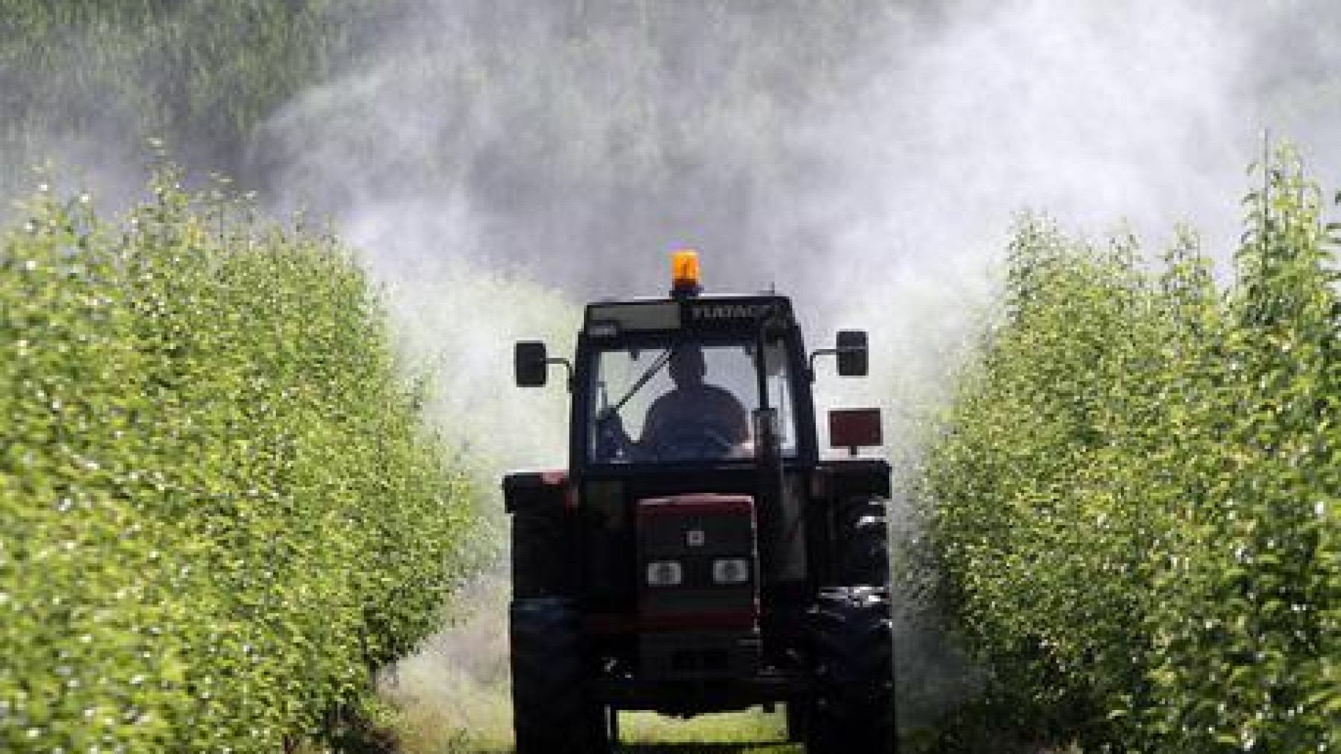Coli: completamente ubriaco già al mattino, si ribalta con il trattore