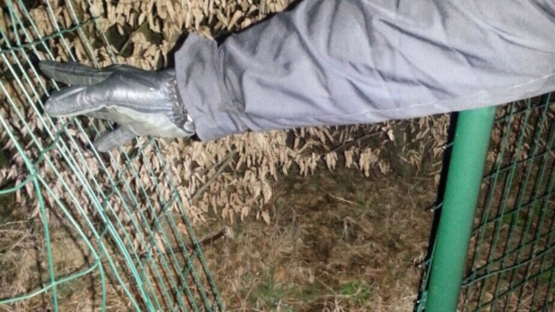 Assalto al parco fotovoltaico di Gossolengo: ladri costretti alla fuga