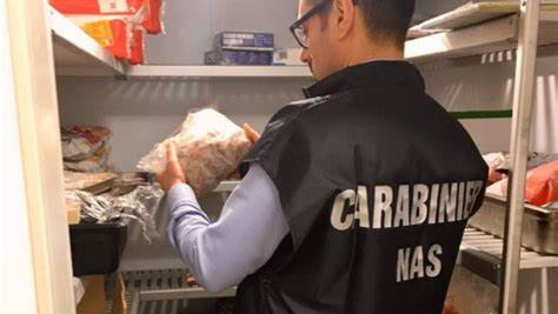Sporcizia ovunque, ragnatele e blatte: sospeso e multato ristorante etnico in città