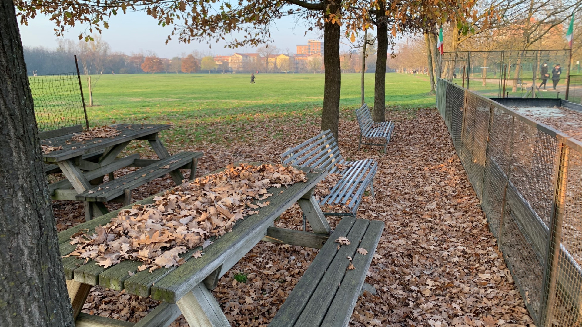 E' arrivato l'autunno, termometro giù di 12 gradi. Piogge da giovedì
