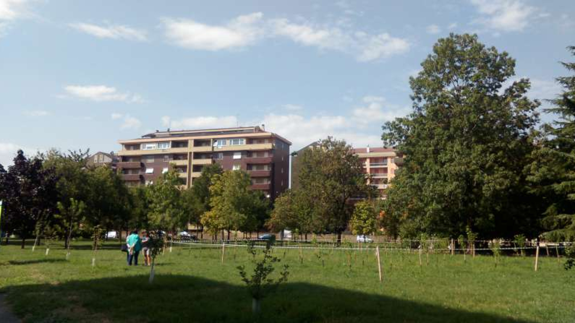 Via Arata, vivaio curato dai residenti. Appello contro i vandalismi