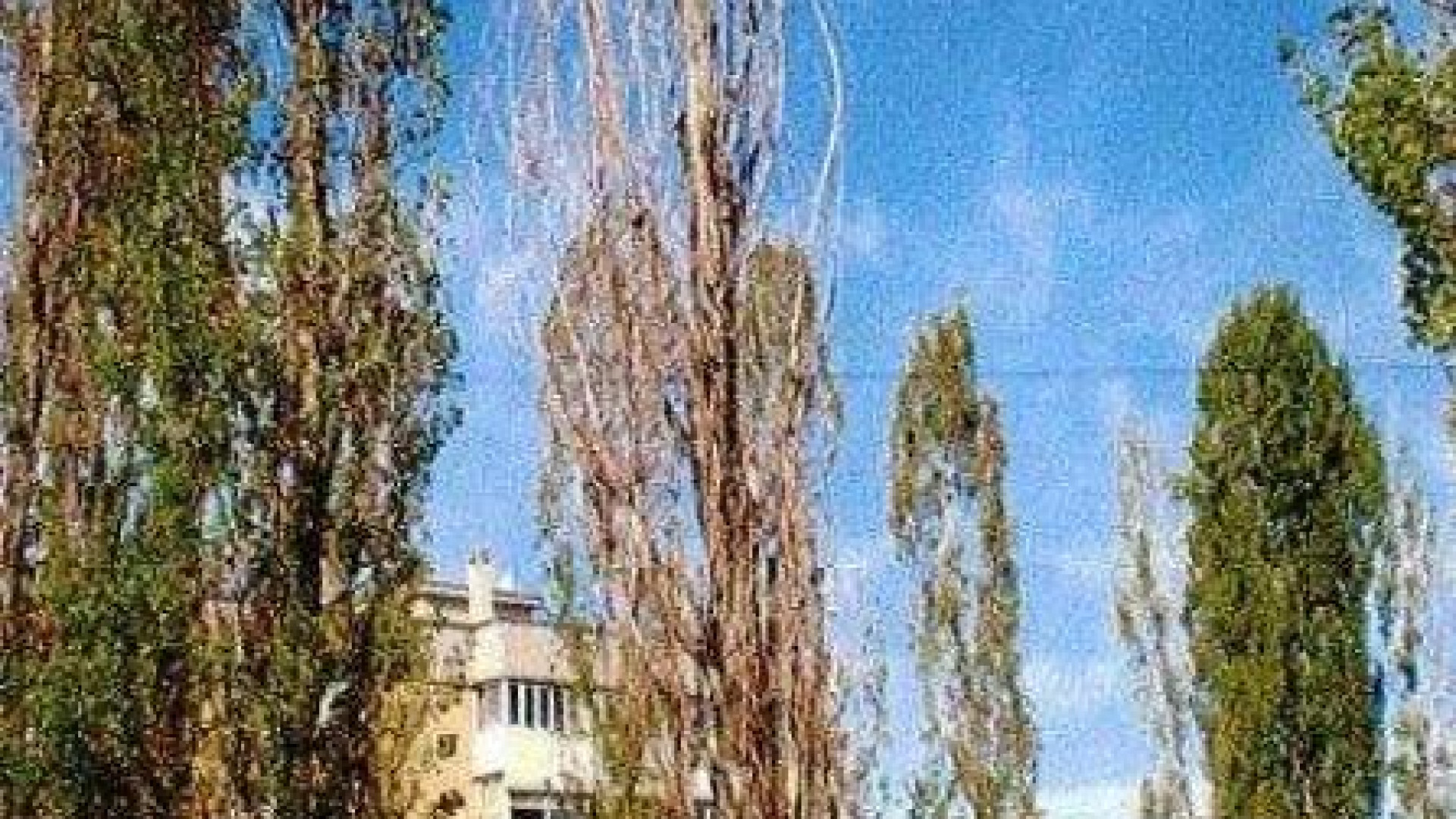 Verde pubblico e sicurezza, il Comune abbatte 46 alberi secchi