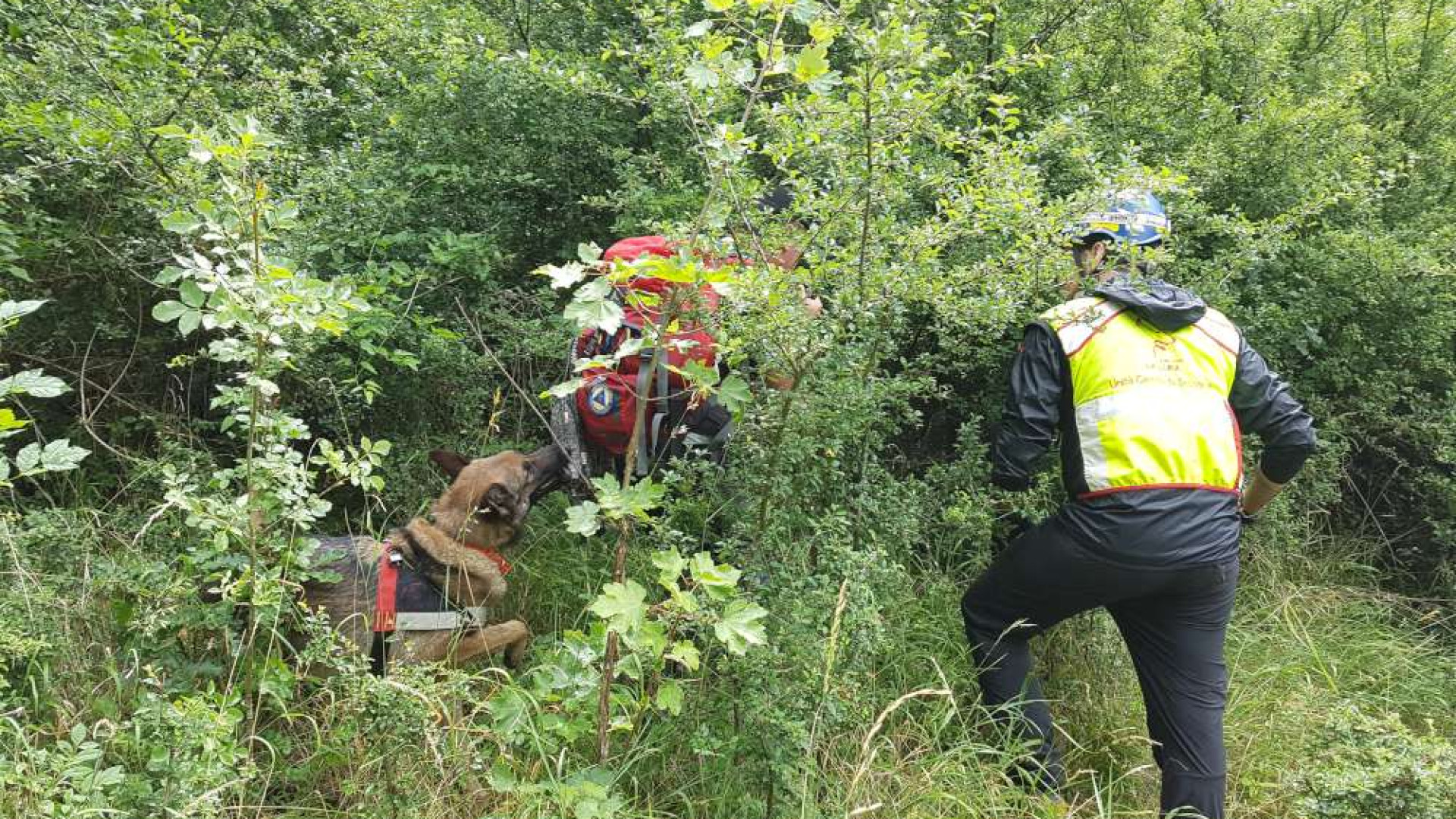 Fungaiola dispersa nei boschi di Ottone, scattate le ricerche con il Soccorso alpino
