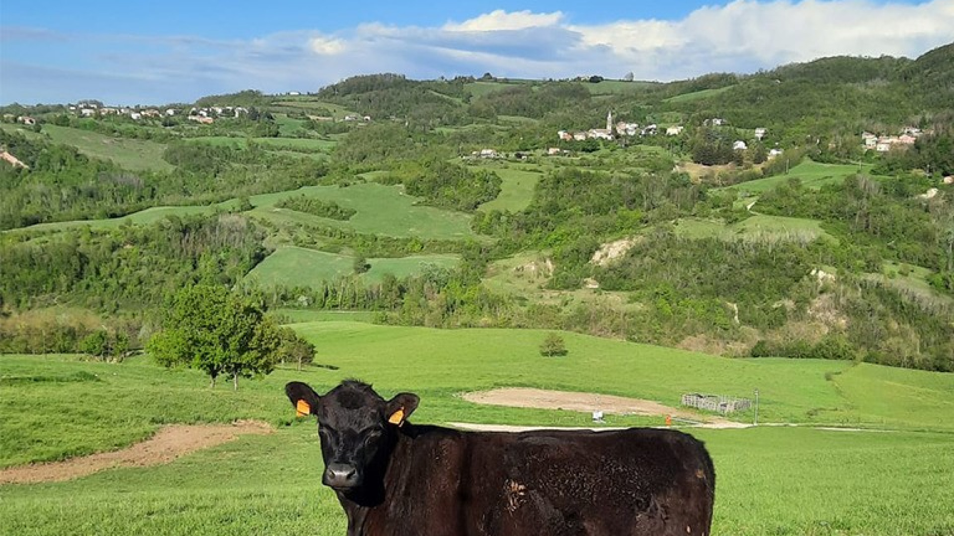 "Alla scoperta dell'alta Val Riglio". Domenica la marcia della Pro loco Montechino