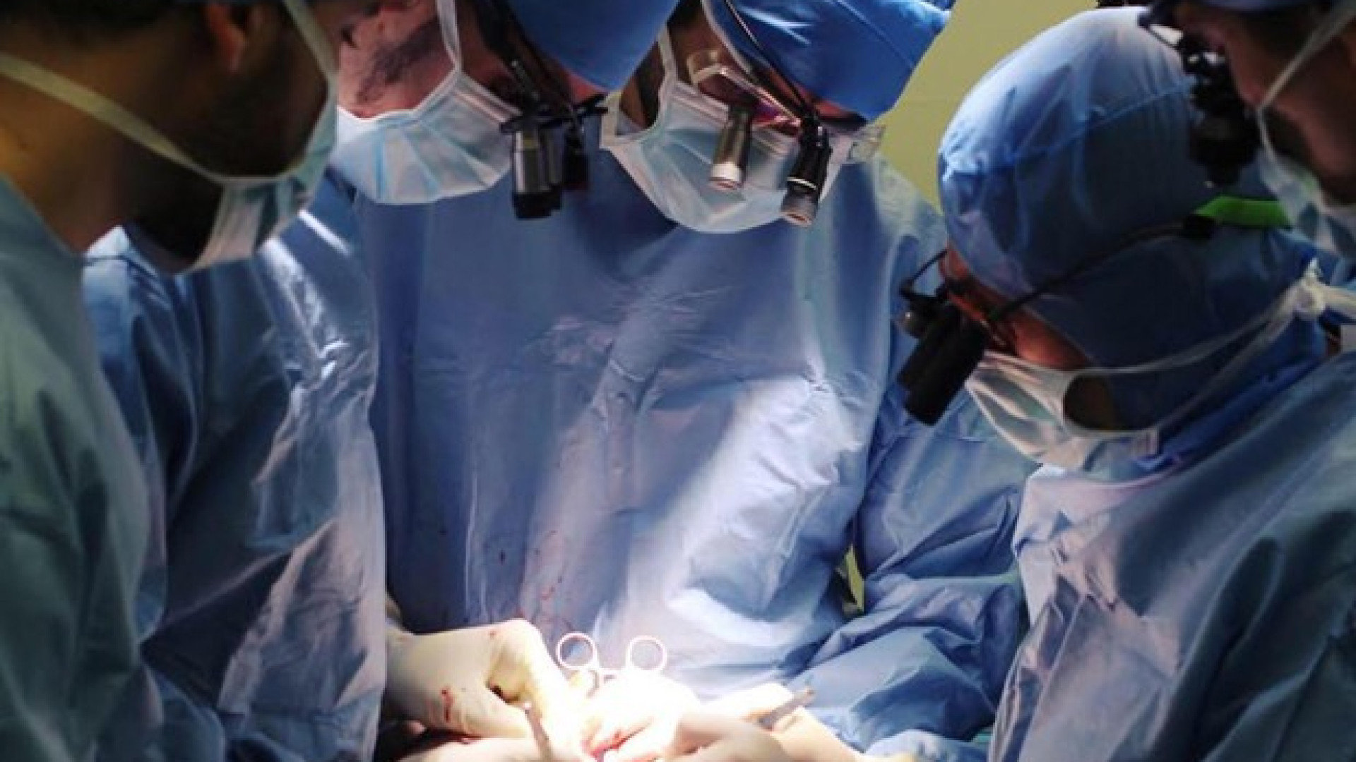 Donazioni organi e tessuti: "Il Covid rallenta le adesioni". Domenica giornata nazionale