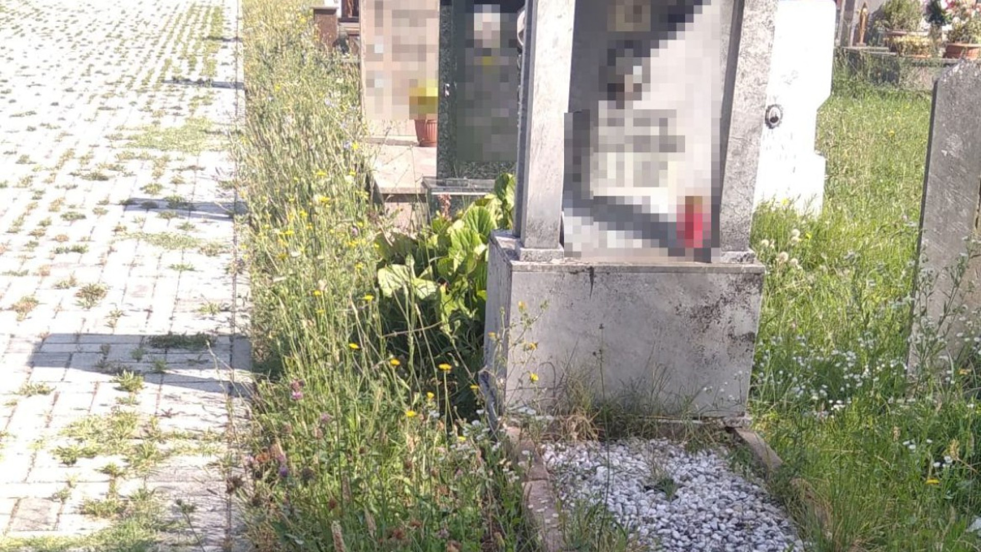 "Scarsa manutenzione del verde", lamentela dai residenti di Rustigazzo