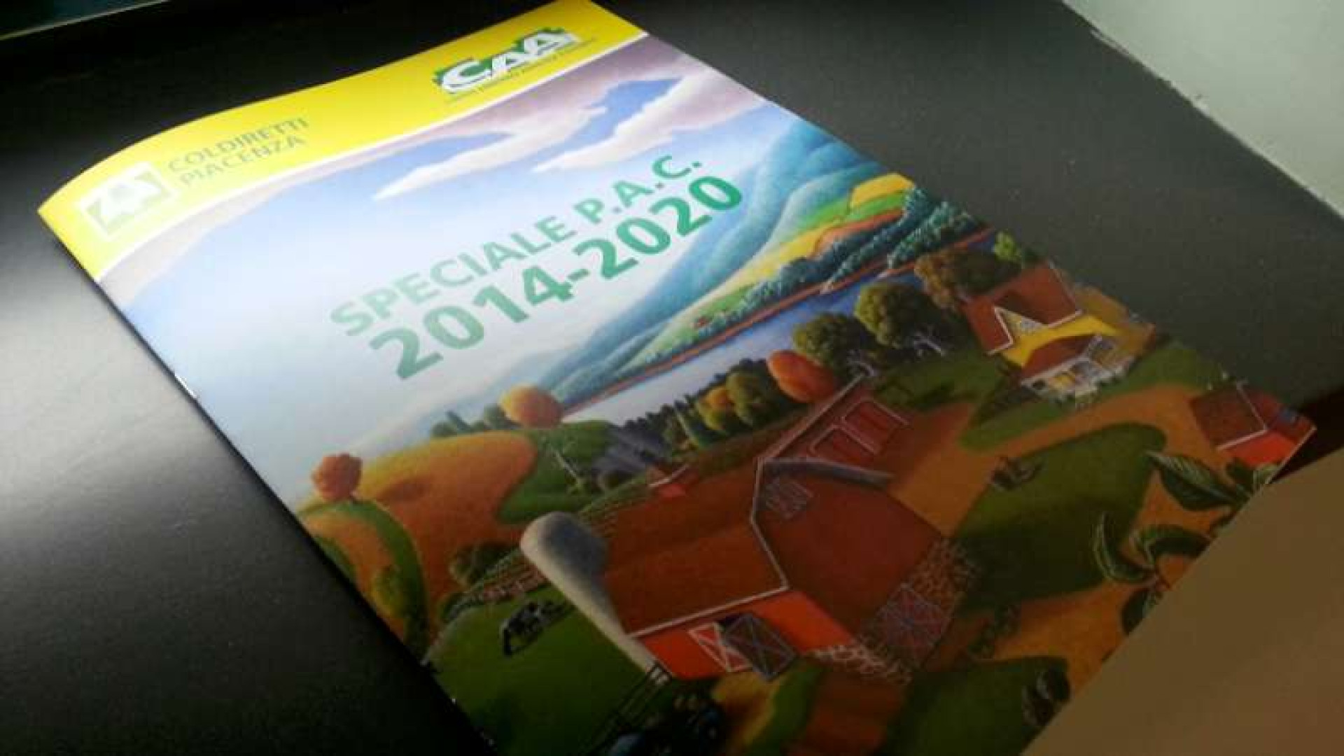 Agricoltura: "La nuova Pac favorirà l'uva, ma penalizzerà il pomodoro"