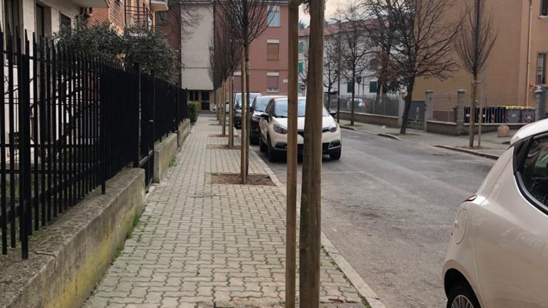Via Mischi, conclusa la riqualificazione con 16 nuovi alberi