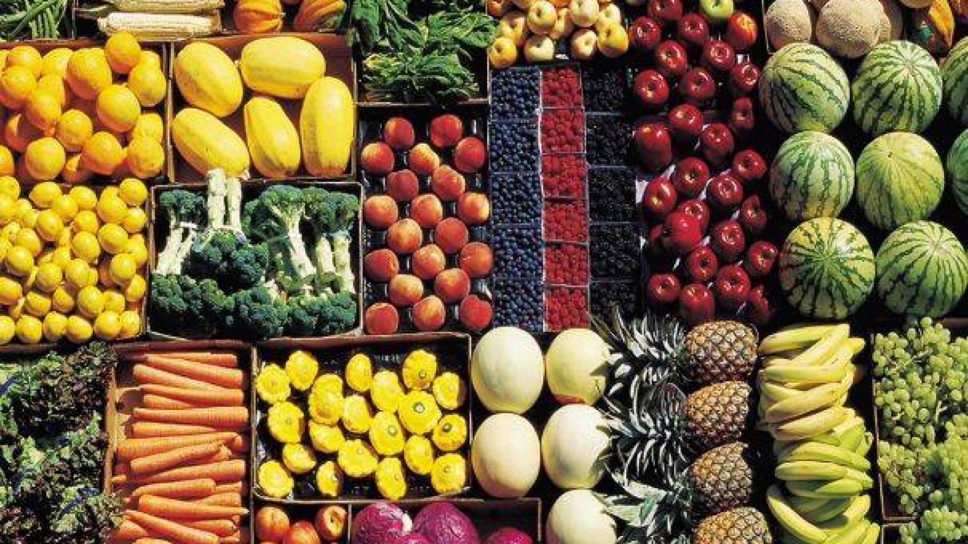 Boom di esportazioni nel 2014: in ripresa alimentari e abbigliamento