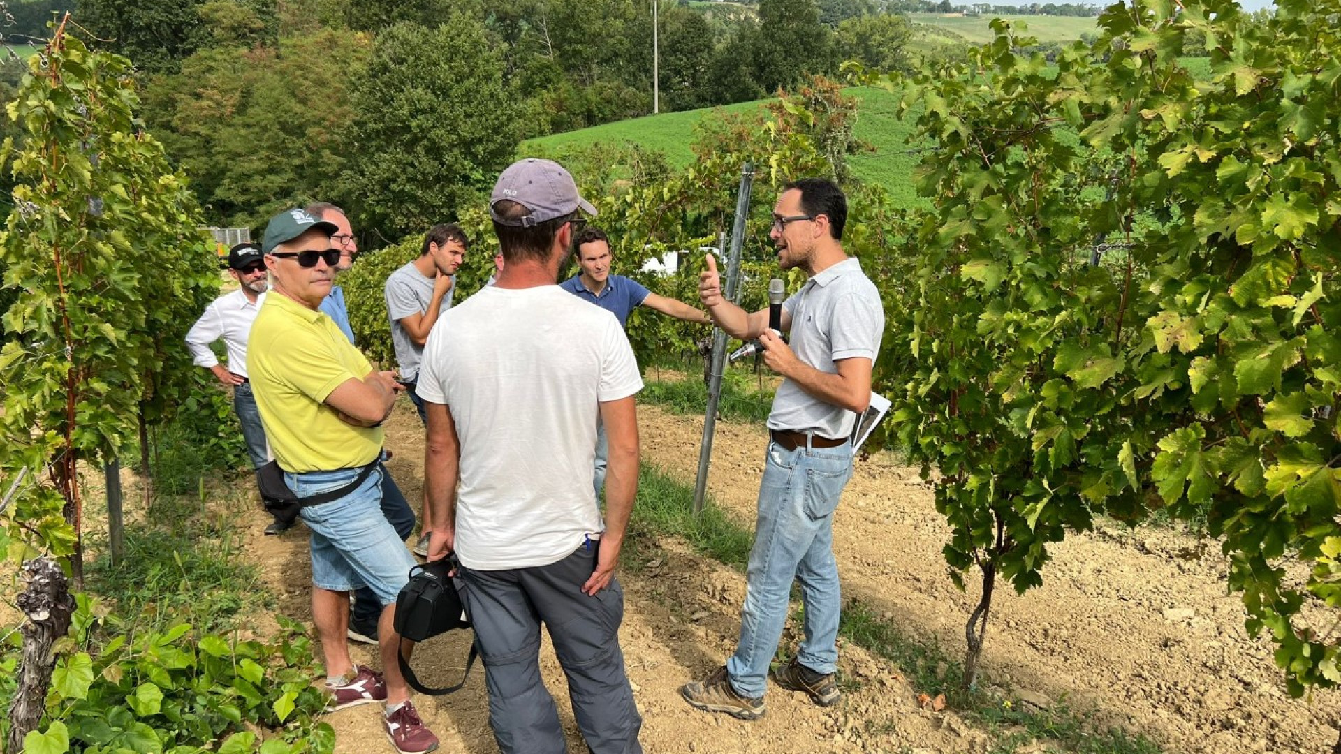 La vendemmia diventa "tecnologica" per affrontare le sfide dei cambiamenti