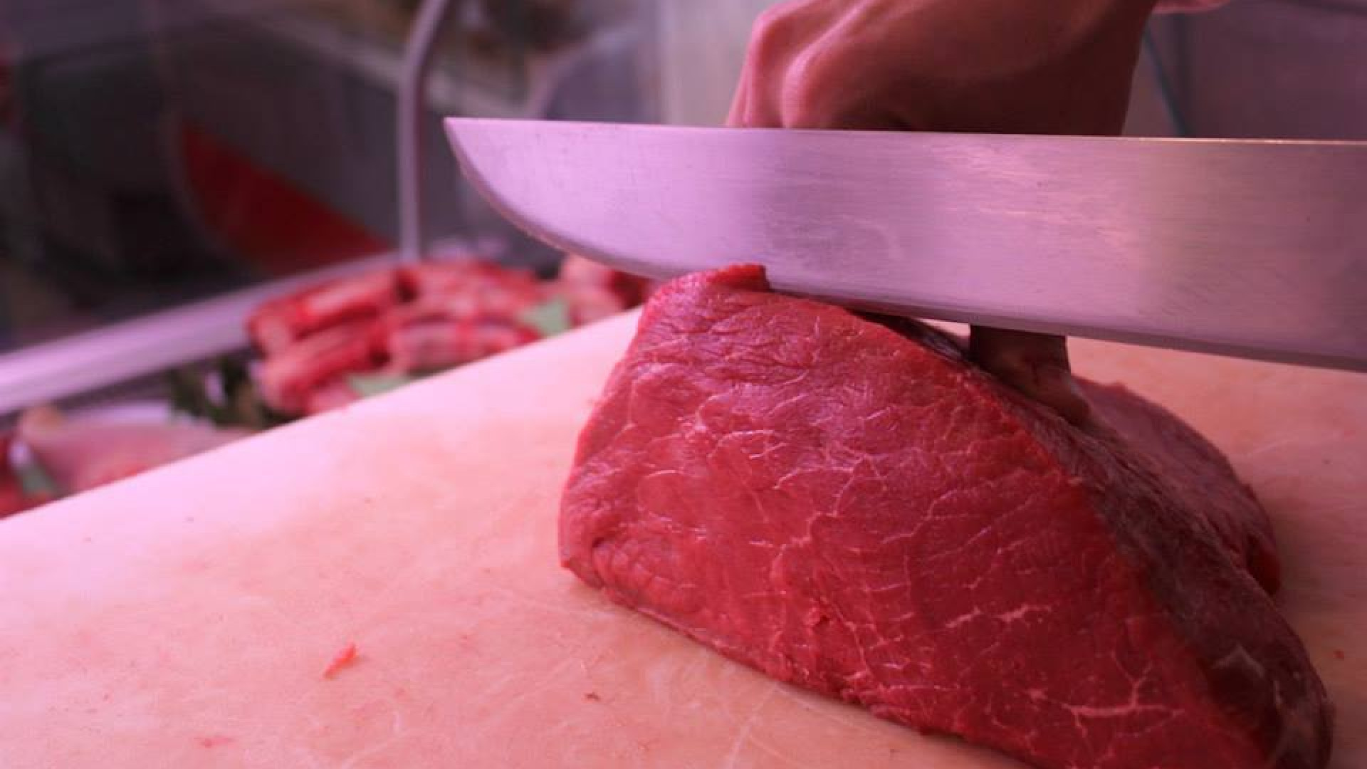 Il morso di una zecca provoca allergia alla carne rossa: casi anche a Piacenza