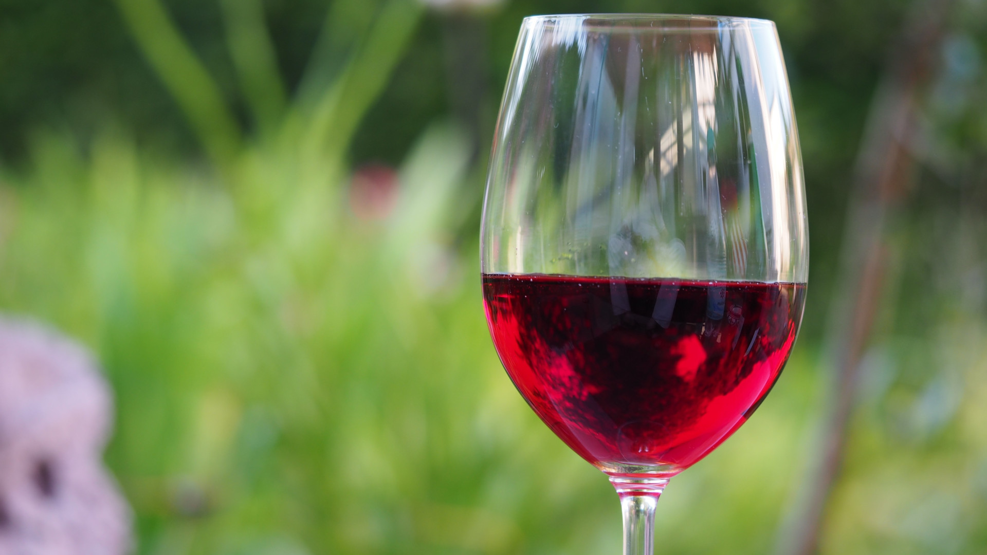 Degustazioni e concerti per il Valtidone Wine Fest: si parte il 1° settembre