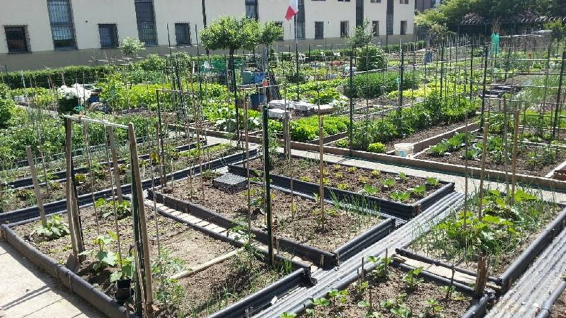 Orti, prorogata al 31 ottobre l'attuale gestione. Groppelli: “Preservare i terreni"