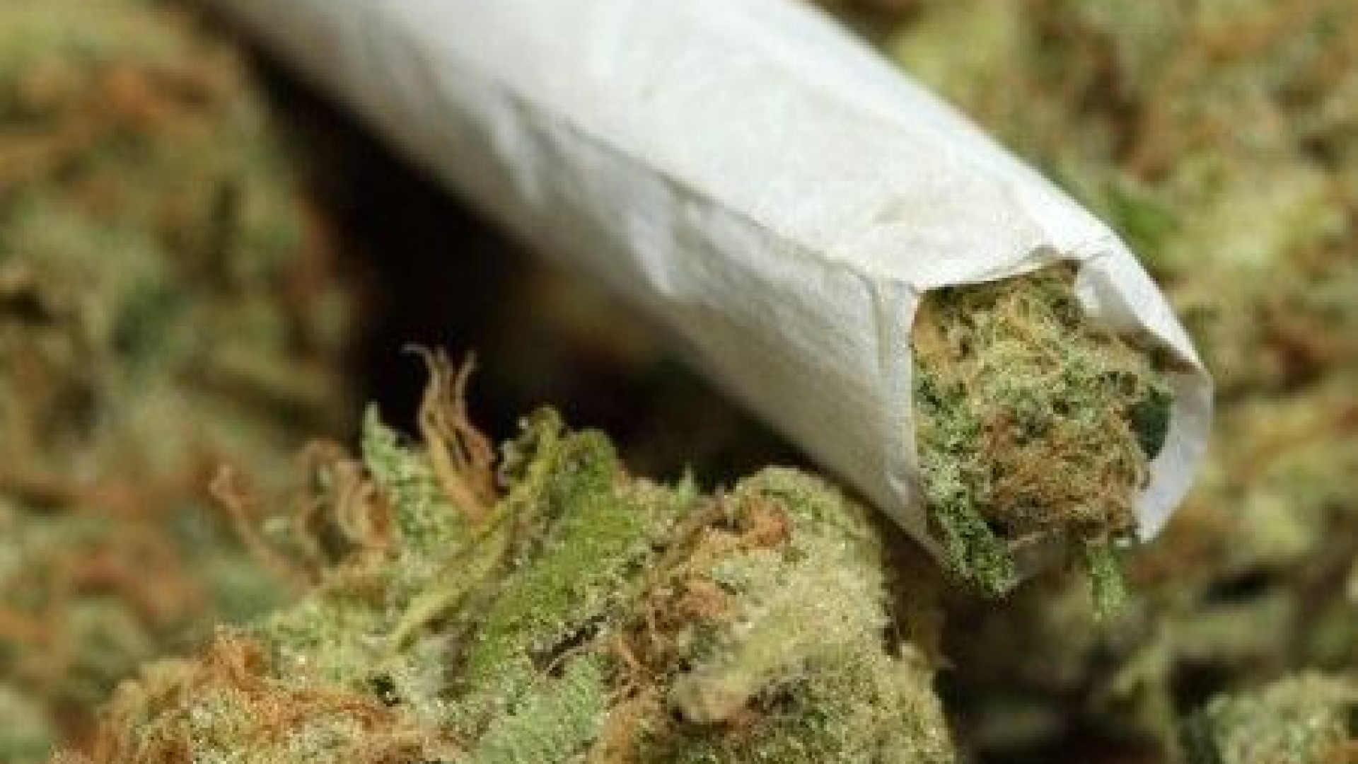 Fermati dalla polizia locale due minorenni con hashish e marijuana