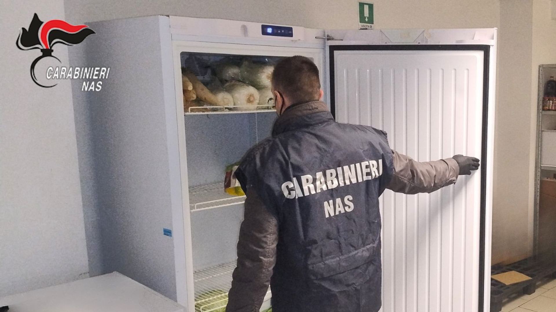 Merce scaduta, ragni e insetti morti nel banco frigo: sanzionato supermercato