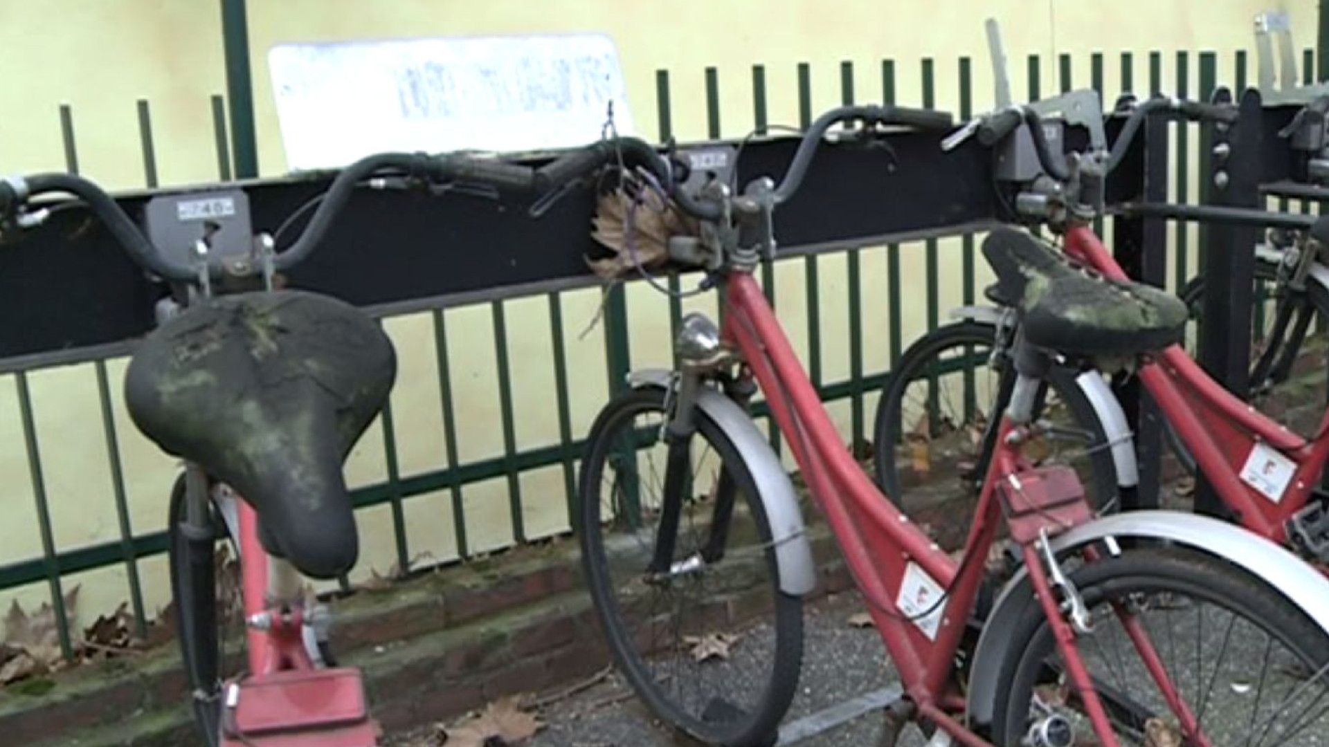 “Le bici pubbliche sono rovinate”. Cisini: “Chiesto aiuto alle assocazioni”