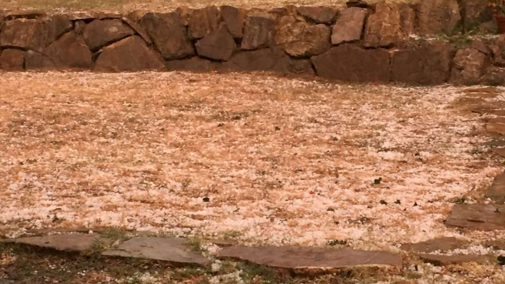 Violenta grandinata in Valluretta: danni ai vigneti. Video