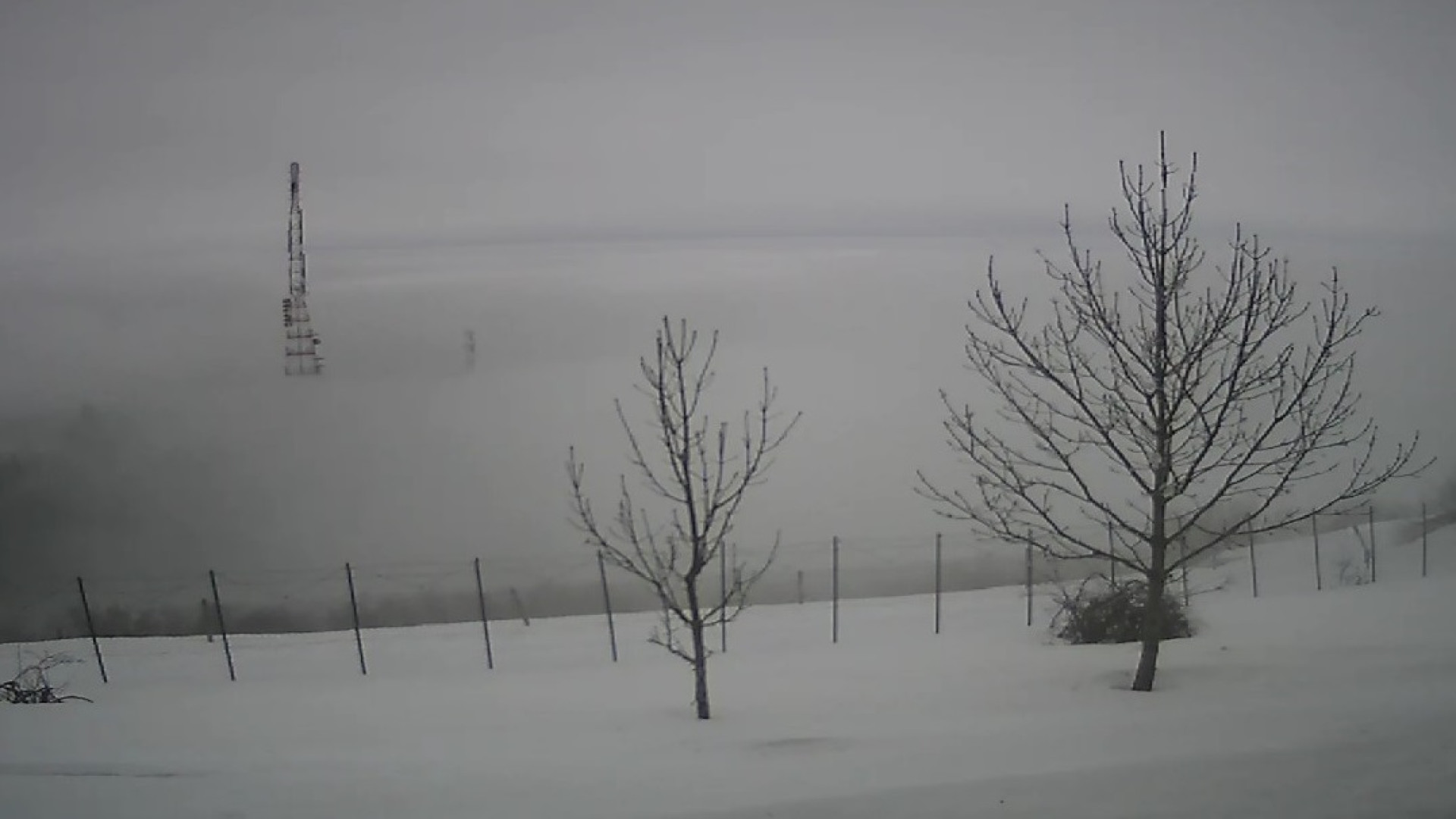 Temperature in picchiata, in zone montane fino a -12 gradi. Neve al Penice