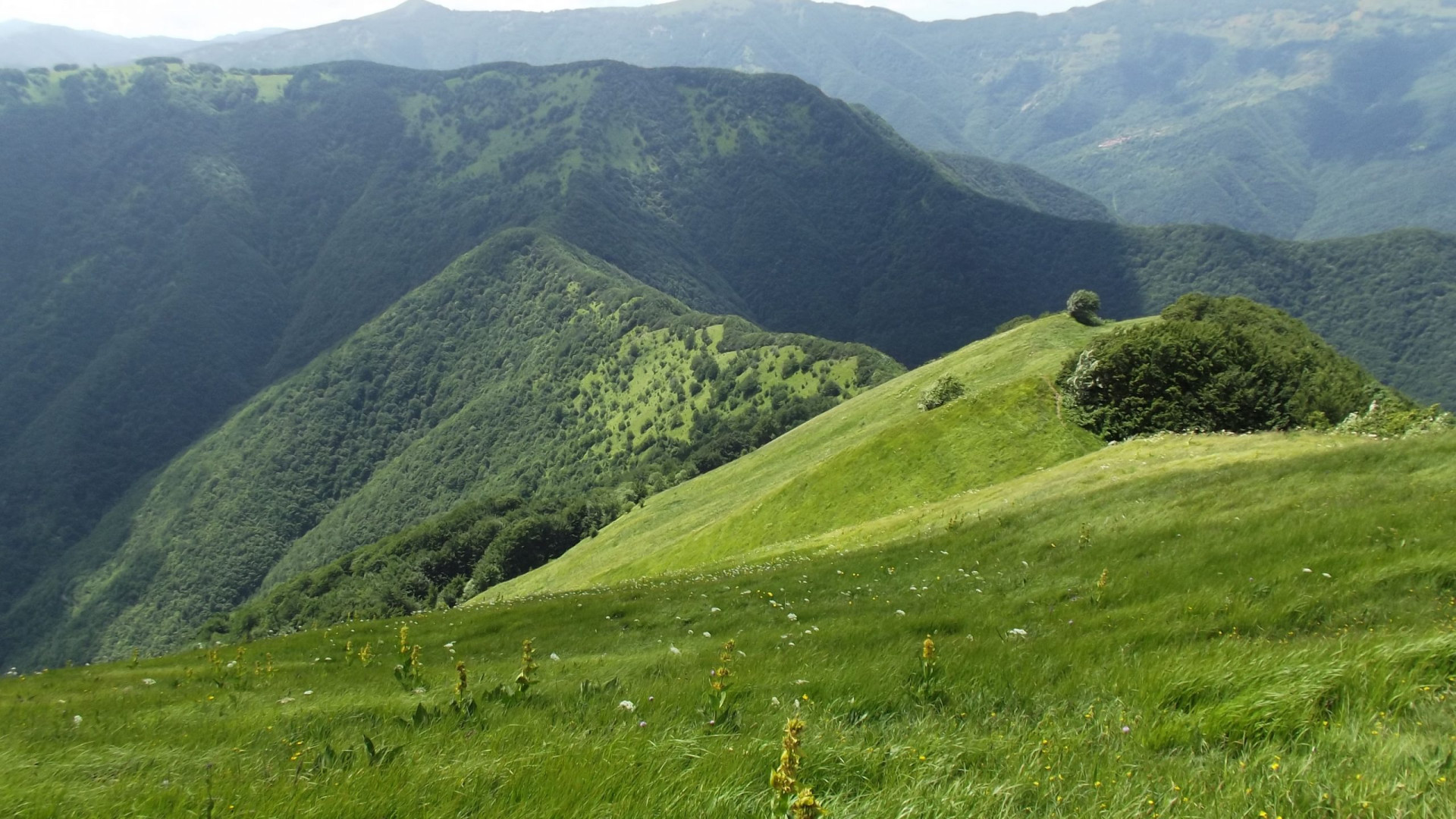 Comprare casa in montagna: contributi fino a 30mila euro per coppie e famiglie