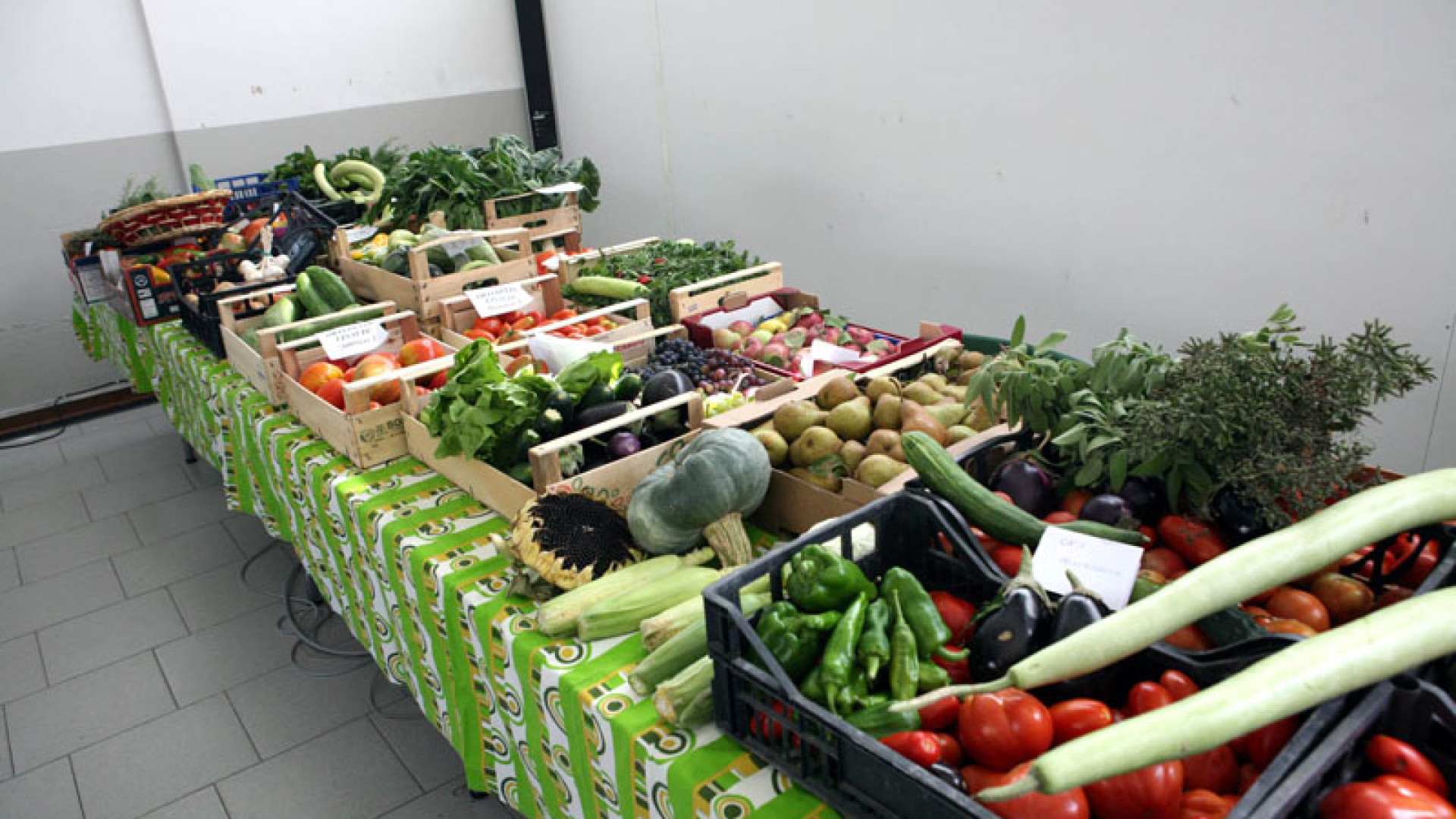 Piacenza Solidale: 82mila kg di cibo recuperato. Domani a Expo 2015