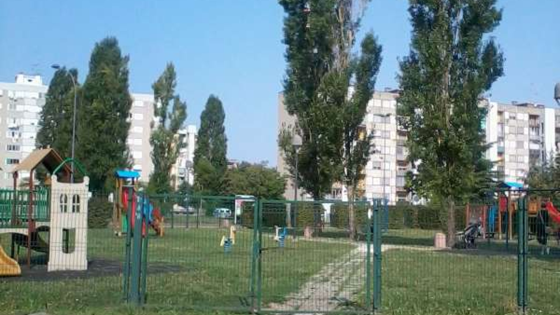 Pioppi pericolosi in via Marzabotto, il Comune: "Necessario l'abbattimento"