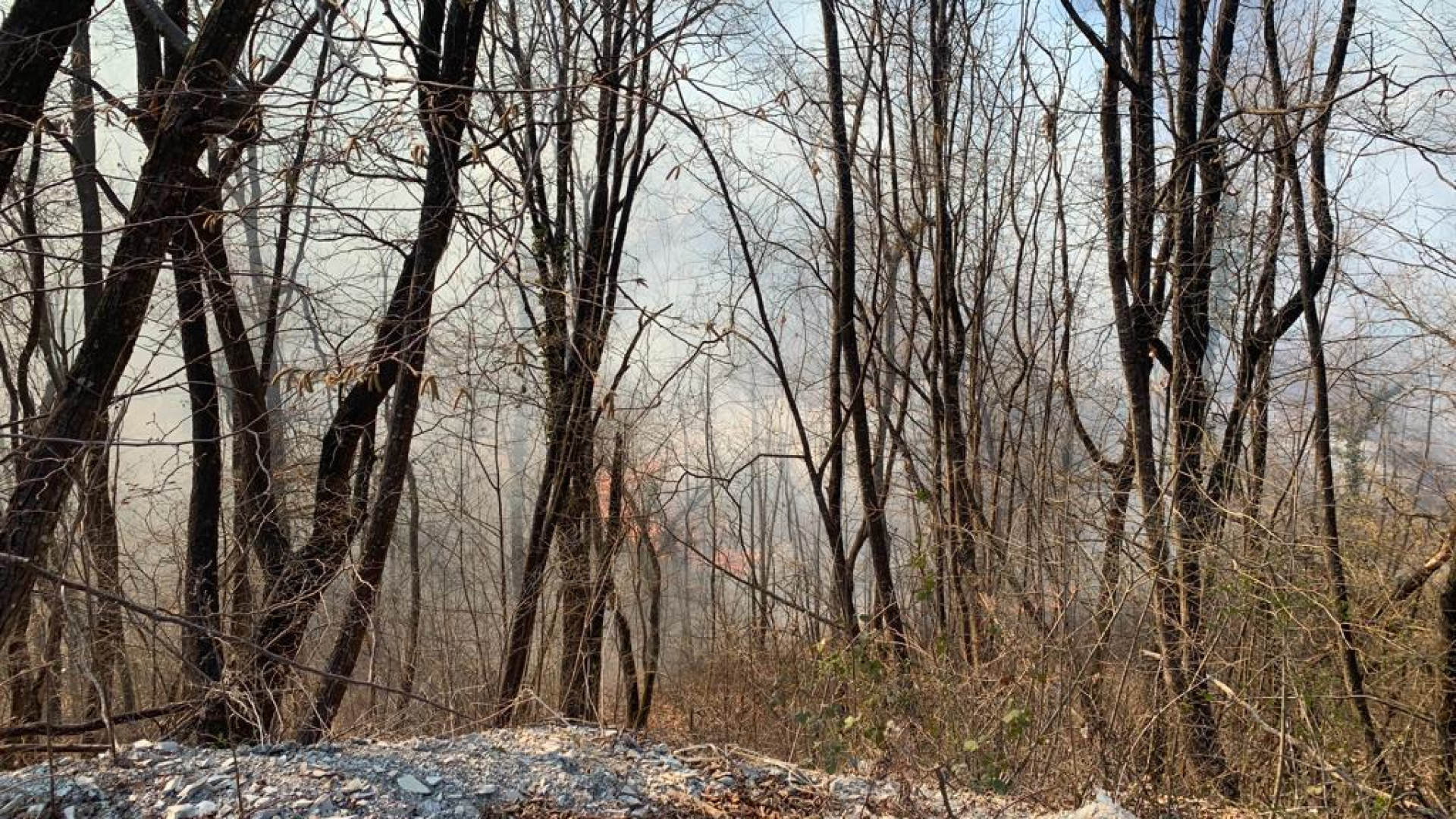 Vasto incendio nei pressi della Diga di Mignano: intervengono i vigili del fuoco