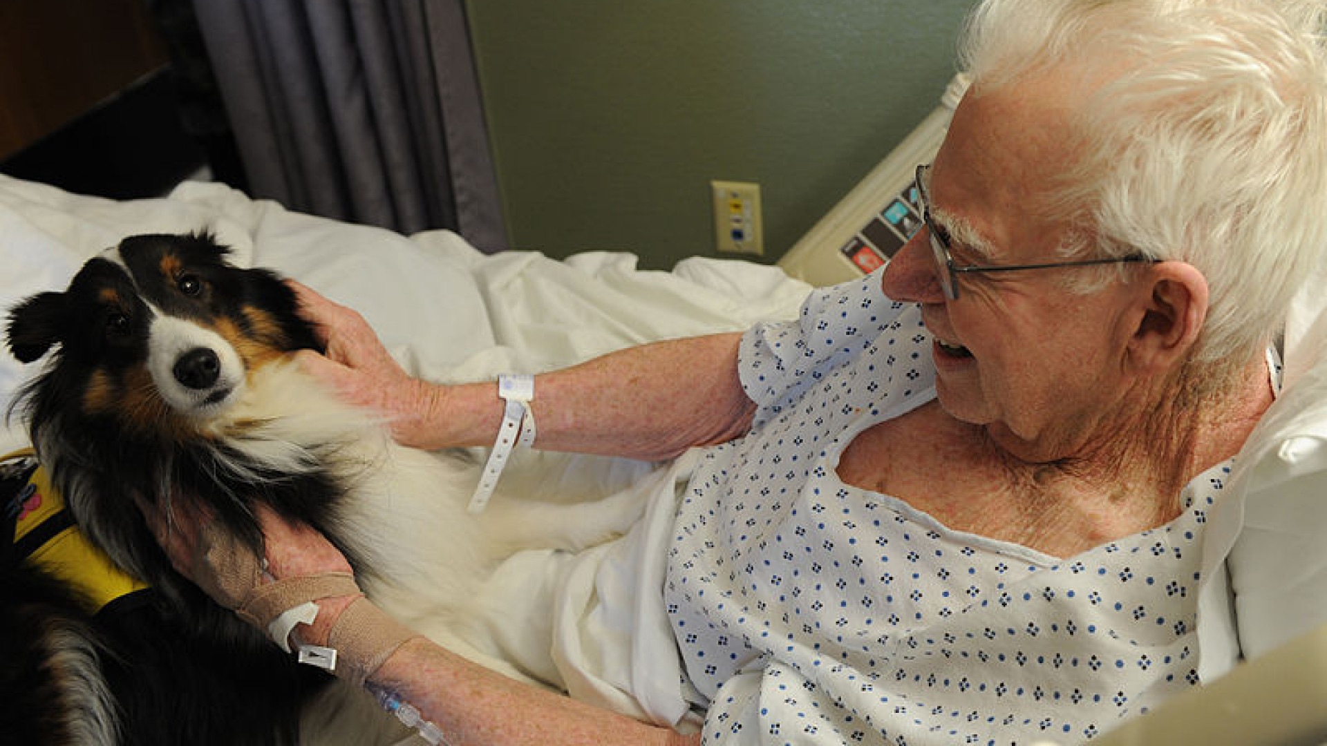 La Pet Therapy sbarca al Maruffi